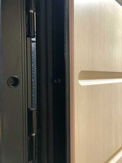 Дверь ZMD Черный кварц Экодуб