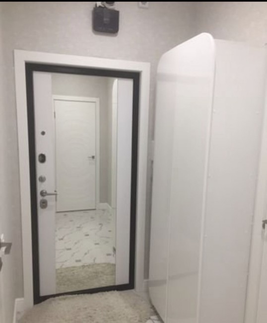 Дверь ZMD Лофт бетон Зеркало XXL Сноу